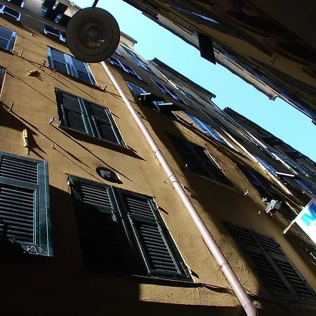 Major Genoa